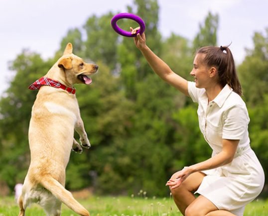 people playing with dog